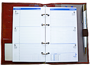 Signum Classic hn�d�