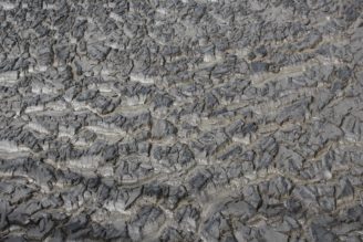 vodárenské kaly - IMG_1405